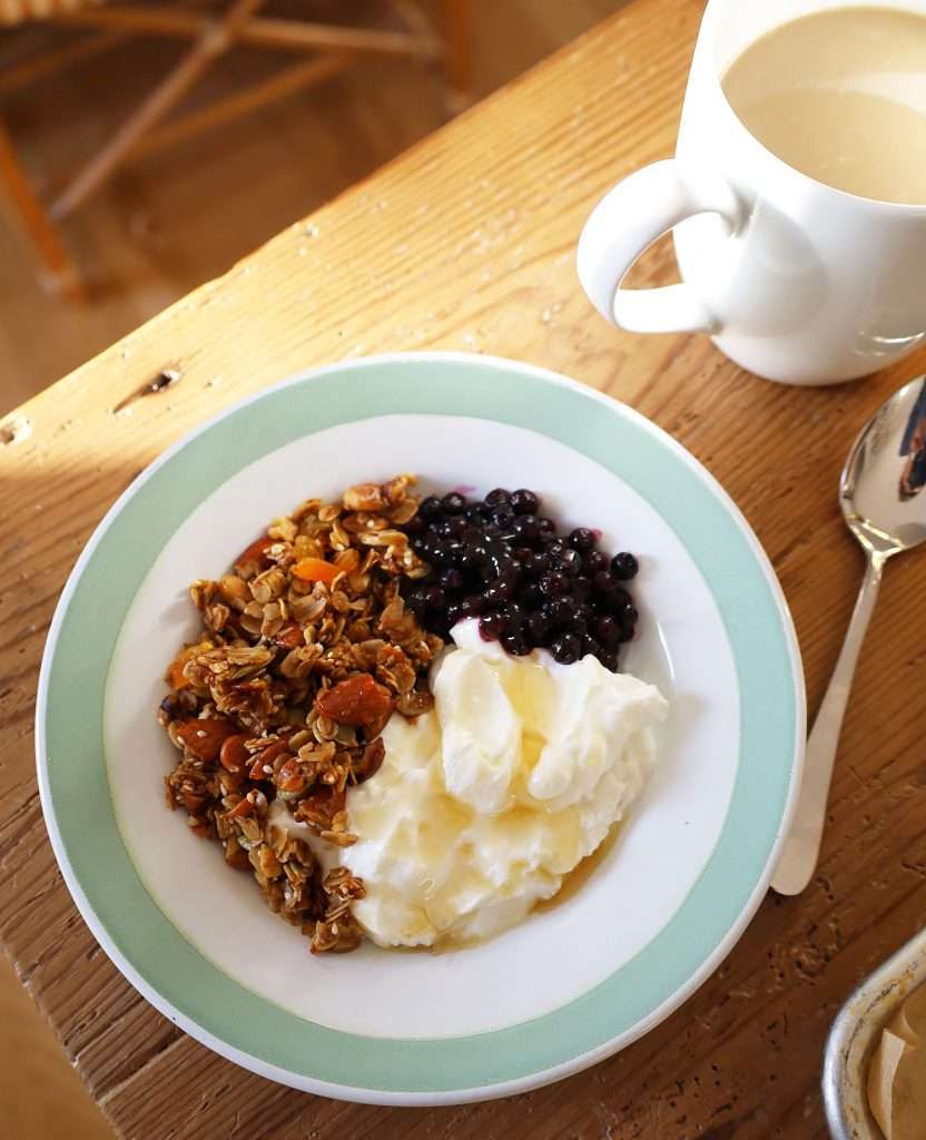 granola9